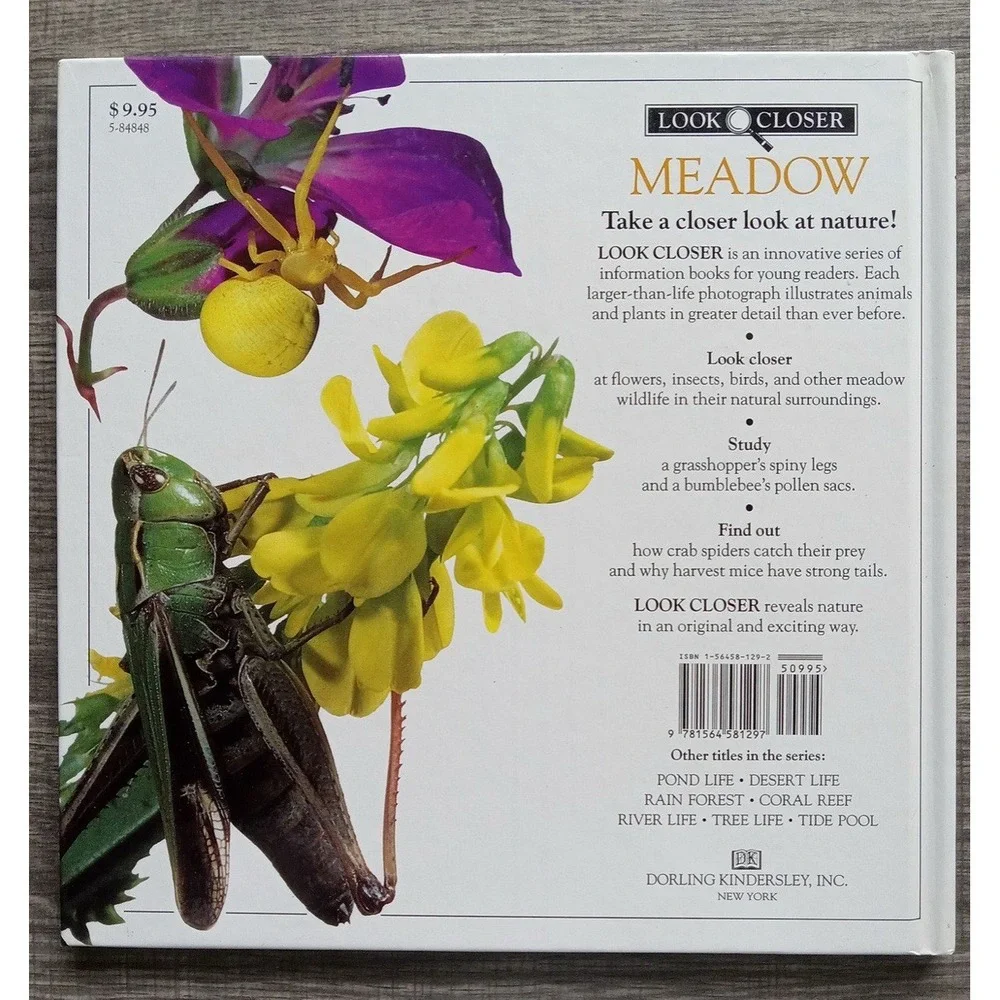 Meadow (Look Closer) Book By Barbara‎ Taylor Hardcover